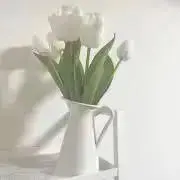 na.の画像