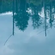 きたさん