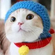 ノンノ