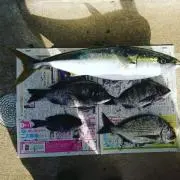 susumu