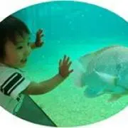 Rikaの画像