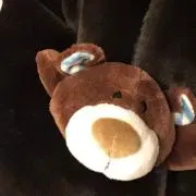 りんの画像