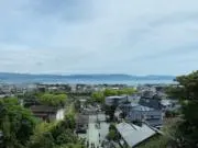 のんきの画像