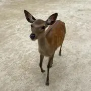 とも