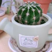 こてん＊お値下げ依頼お気軽に＊の画像