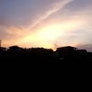 アメの画像