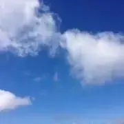 ディの画像