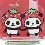 chocoP  ☆匿名配送のみ☆の画像
