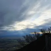 AL