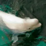 ドン☆断捨離中の画像