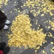 えりぴょん