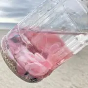 もてこの画像
