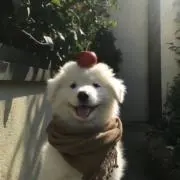 あやの画像