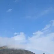 サイちゃんの画像