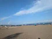 即日発送目指しますの画像
