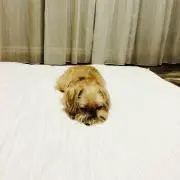ただいまお休み中！CHOCOMINT