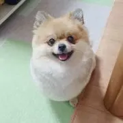 まあこの画像