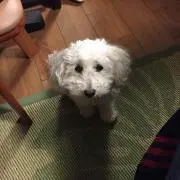 かずやん