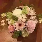 ototoの画像