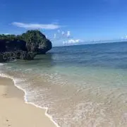 まあこの画像