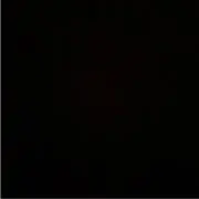 モタの画像