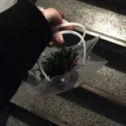 Kの画像