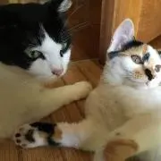 のりゆきの画像