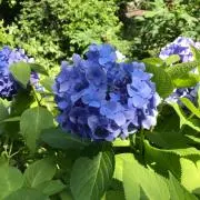 YUKIKUYの画像