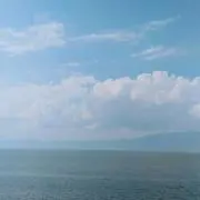 tontonの画像