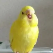 まさきんぐの画像