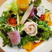 ホシヨ