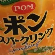 PONじゅーす