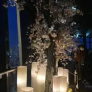 にんにん