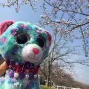 断捨離中　rioryoママ