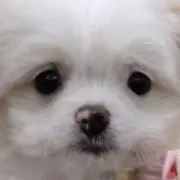 ⭐️モグモグマミー⭐️の画像