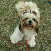 梨瑠mama