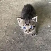 nanakoの画像