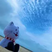 智守の画像