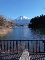 m.tの画像