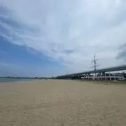 ひかの画像
