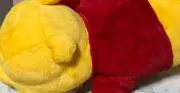 ドラにゃんこ(自己紹介文をご確認下さい)の画像
