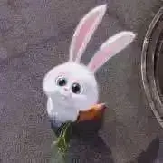断捨離中の画像