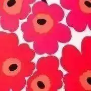 Chicoの画像
