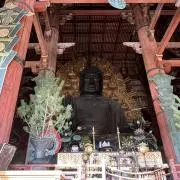 は
