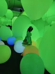 けーすんの画像