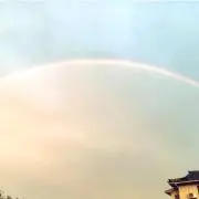 まめの画像