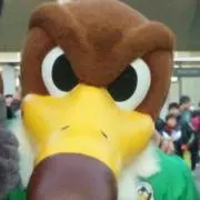 ヴェルディ君