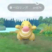 ドンサイルの画像