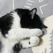 ChoCo
