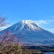 たんたんの画像